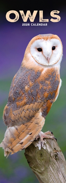 Owls Slim Calendar 2026 Bird Slimline Calendar - 12 Month