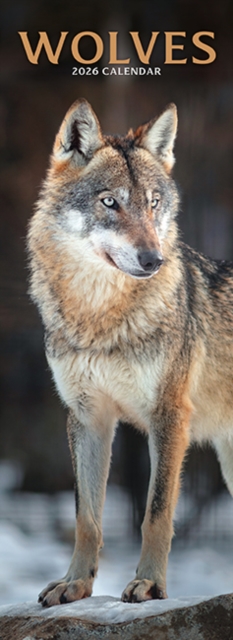 Wolves Slim Calendar 2026 Slimline Calendar - 12 Month