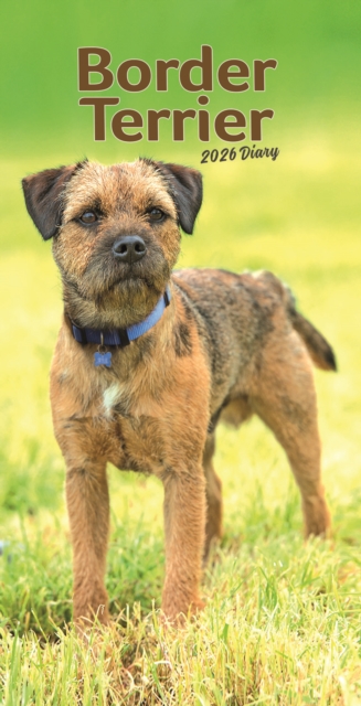 Border Terriers Slim Diary 2026