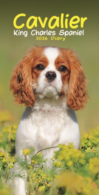 Cavalier King Charles Spaniels Slim Diary 2026