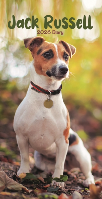 Jack Russell Terriers Slim Diary 2026