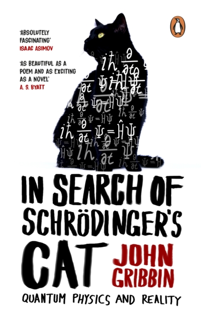 In Search Of Schrodinger's Cat