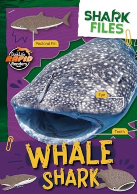 Whale Shark