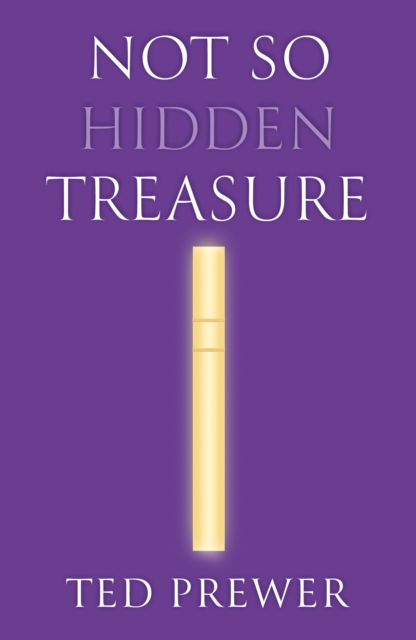 Not So Hidden Treasure
