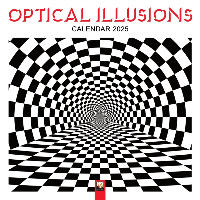 Optical Illusions Wall Calendar 2025 (Art Calendar)