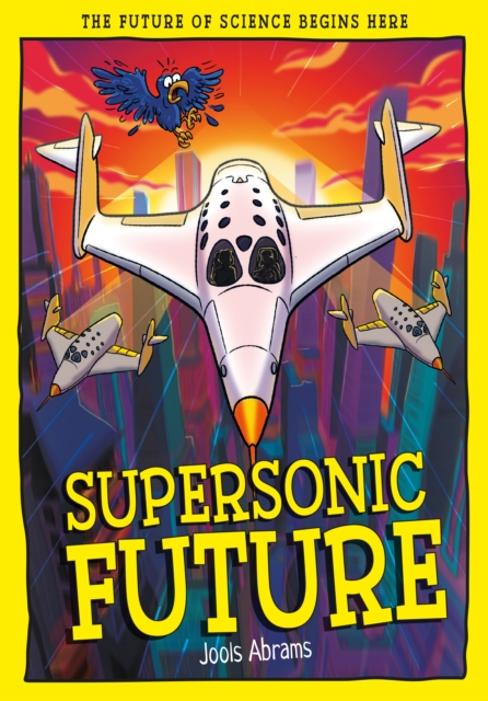 Supersonic Future