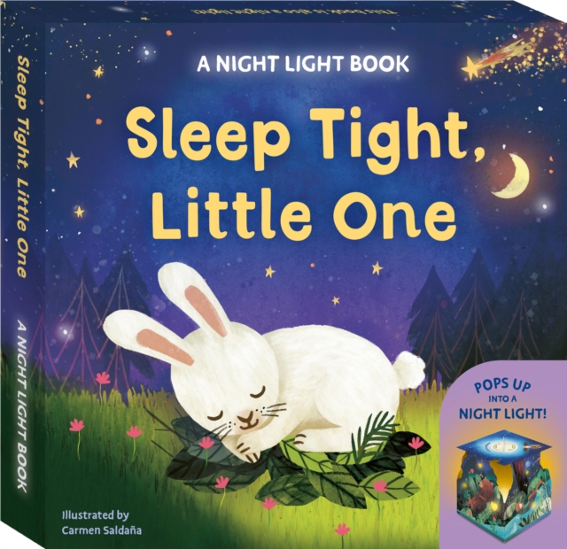 Sleep Tight, Little One: A Night Light Book