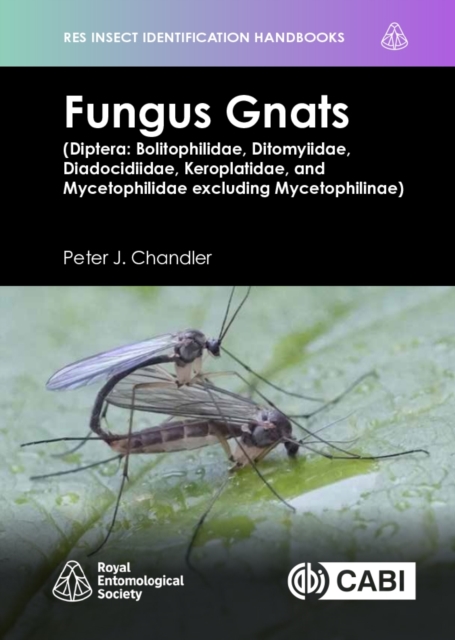 Fungus Gnats (Diptera: Bolitophilidae, Ditomyiidae, Diadocidiidae, Keroplatidae, and Mycetophilidae excluding Mycetophilinae)