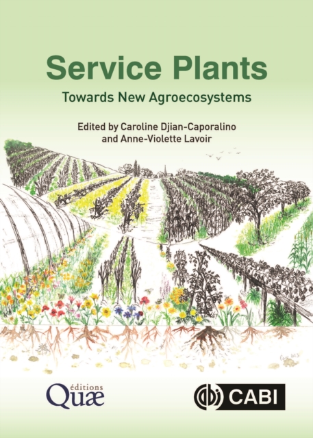 Service Plants