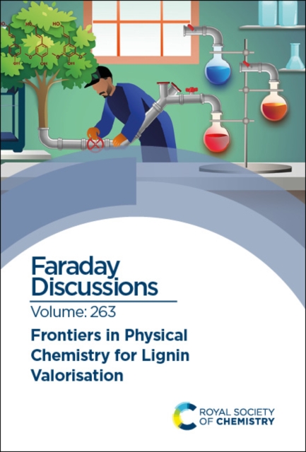 Frontiers in Physical Chemistry for Lignin Valorisation