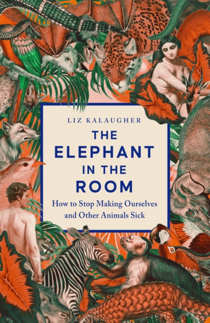 Elephant in the Room