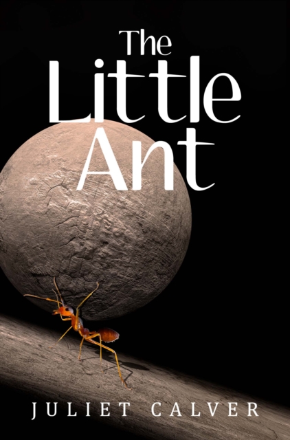 The Little Ant