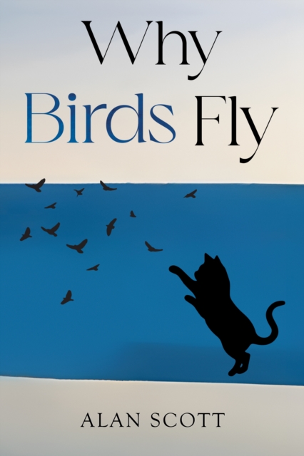 Why Birds Fly