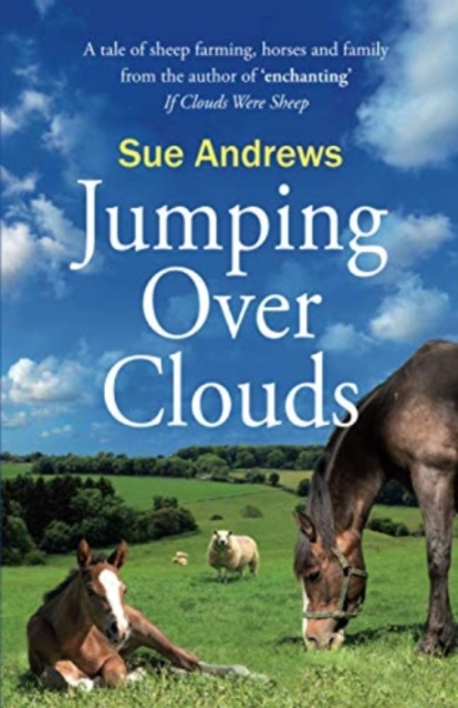 Jumping Over Clouds