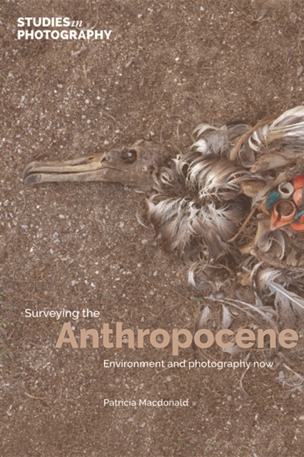 Surveying the Anthropocene: