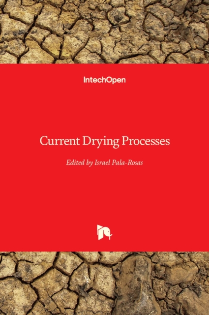 Current Drying Processes