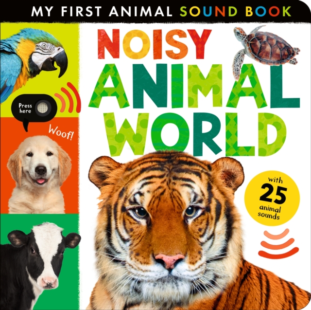 Noisy Animal World