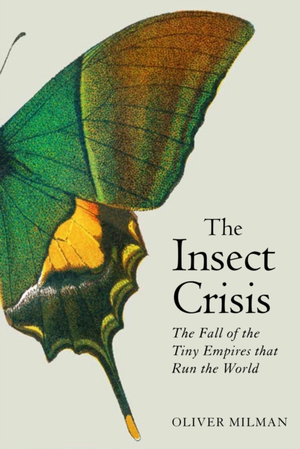 Insect Crisis