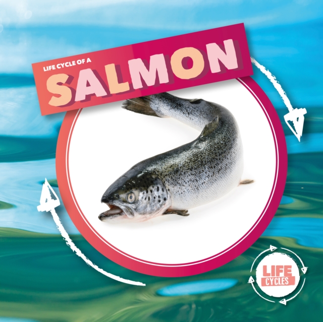 Life Cycle Of A Salmon