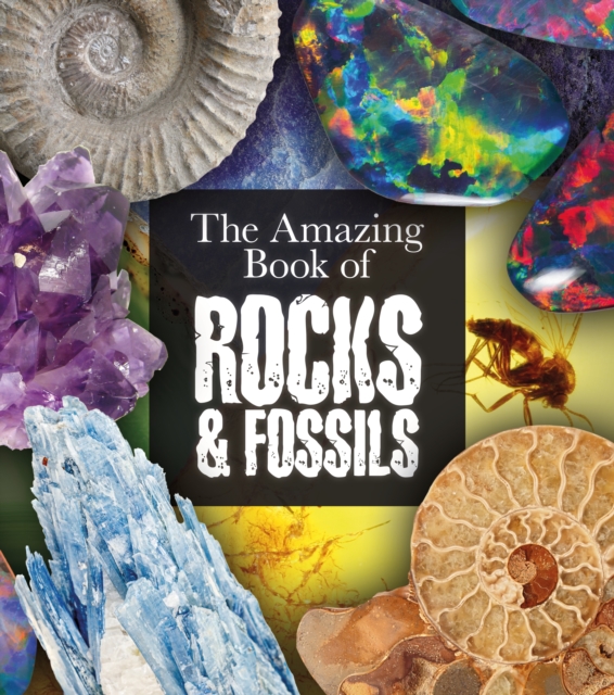 Amazing Book of Rocks and Fossils