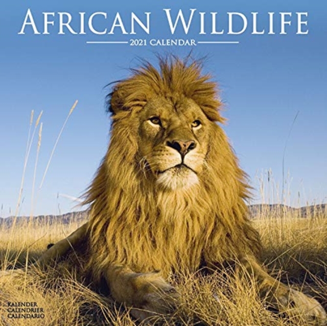 African Wildlife 2021 Wall Calendar