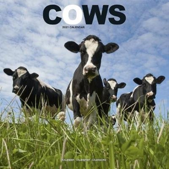 Cows 2021 Wall Calendar