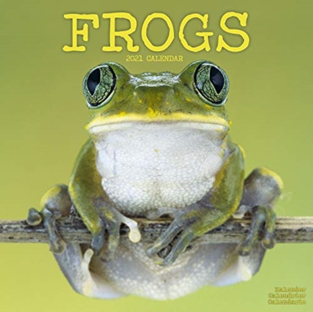 Frogs 2021 Wall Calendar