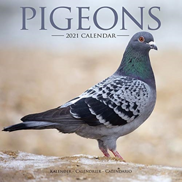 Pigeons 2021 Wall Calendar