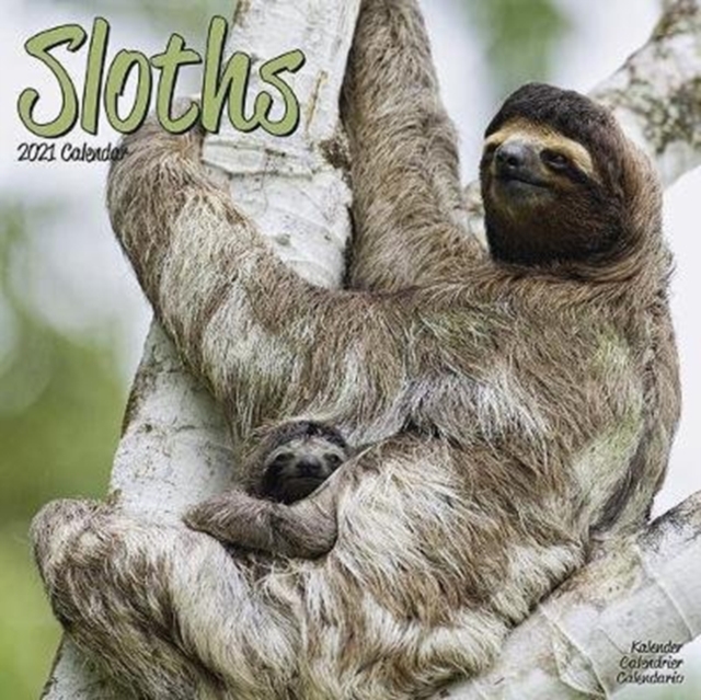 Sloths 2021 Wall Calendar