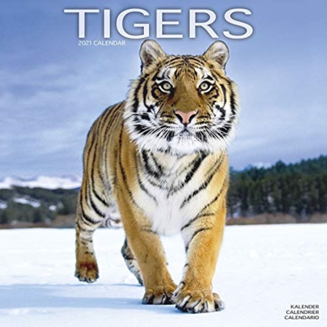 Tigers 2021 Wall Calendar