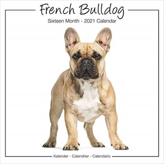 French Bulldog Studio 2021 Wall Calendar