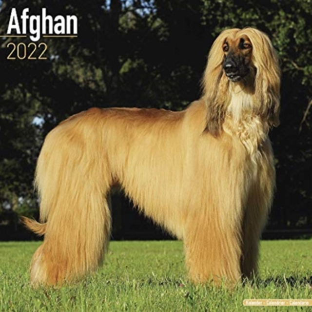 Afghan 2022 Wall Calendar