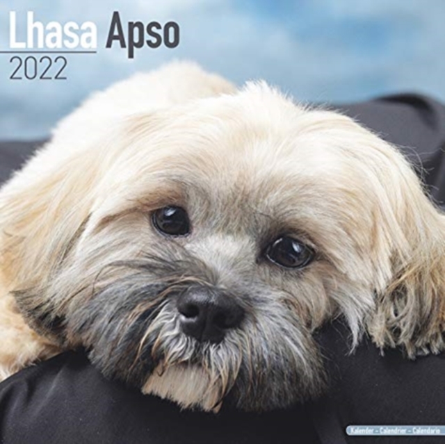 Lhasa Apso 2022 Wall Calendar