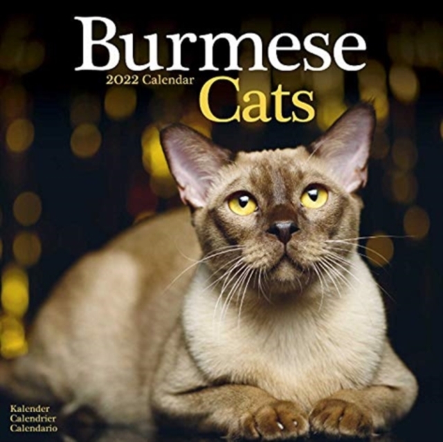 Burmese Cats 2022 Wall Calendar