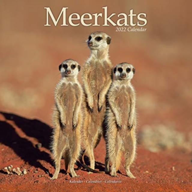 Meerkats 2022 Wall Calendar