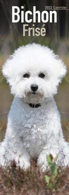 Bichon Frise 2022 Slim Calendar