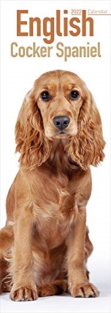 English Cocker Spaniel 2022 Slim Calendar