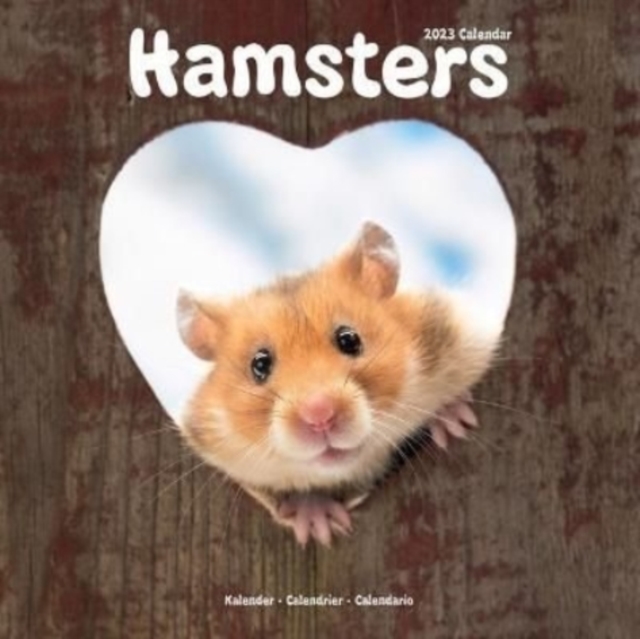 Hamsters 2023 Wall Calendar