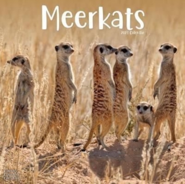 Meerkats 2023 Wall Calendar