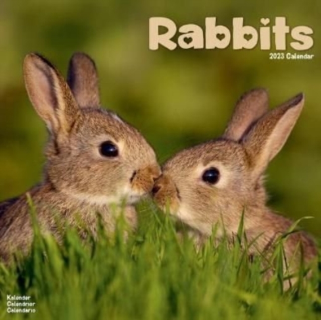 Rabbits 2023 Wall Calendar