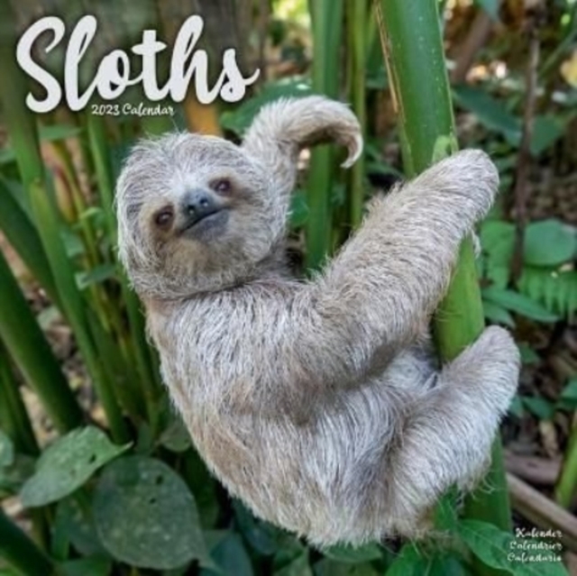 Sloths 2023 Wall Calendar