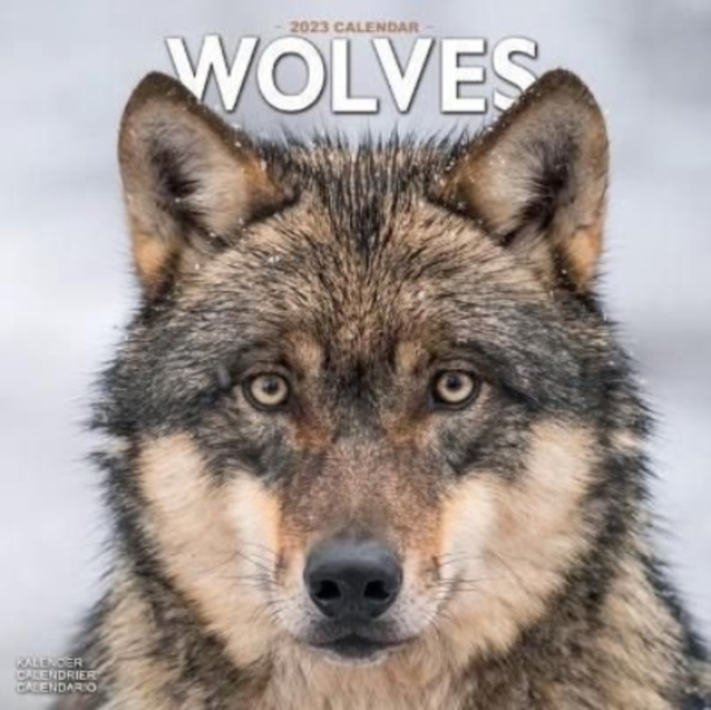 Wolves 2023 Wall Calendar