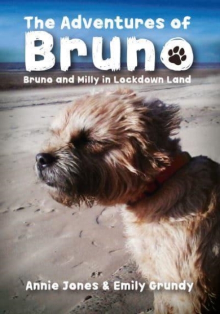 ADVENTURES OF BRUNO