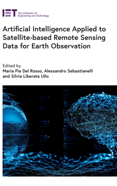 Artificial Intelligence Applied to Satellite-based Remote Sensing Data for Earth Observation