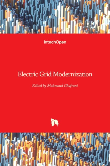 Electric Grid Modernization