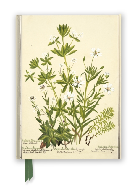 RBGE: Charlotte Cowan Pearson: Stitchworts, Woodruff and Pepperwort (Foiled Journal)