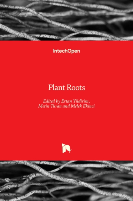 Plant Roots