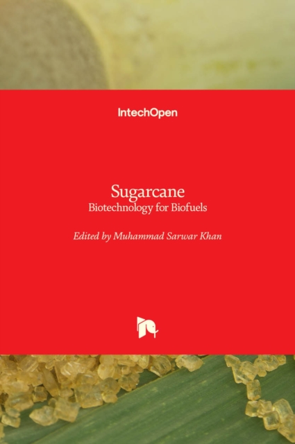 Sugarcane