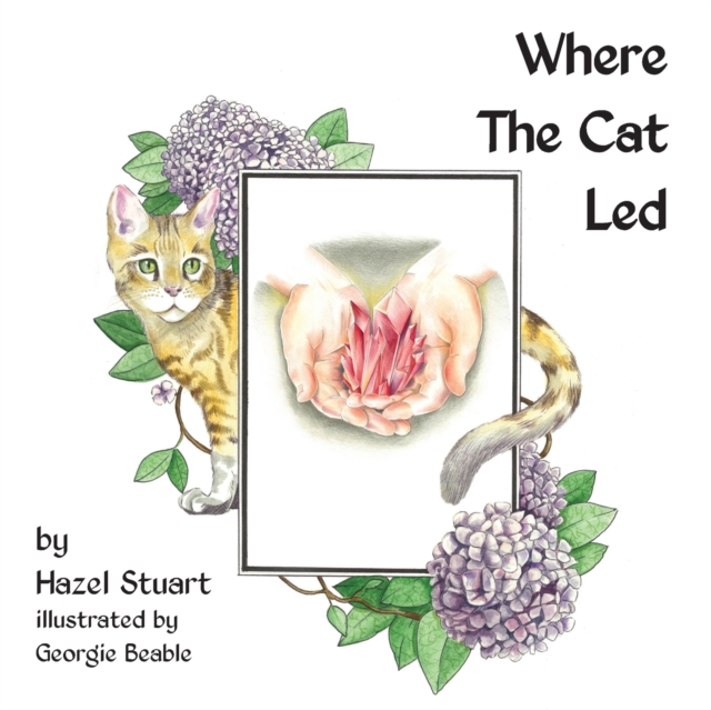 Where the Cat Led