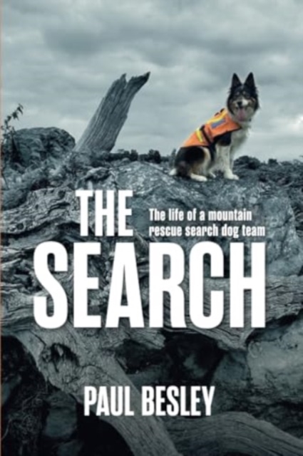 Search